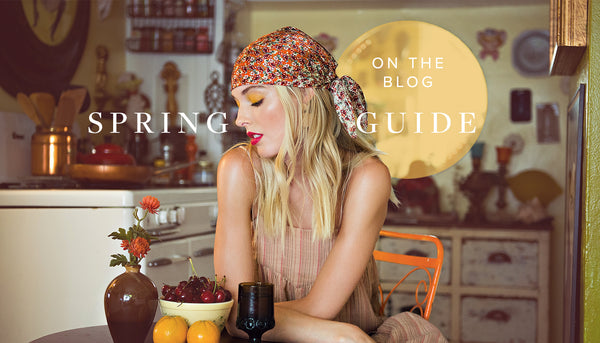 The Spring Guide